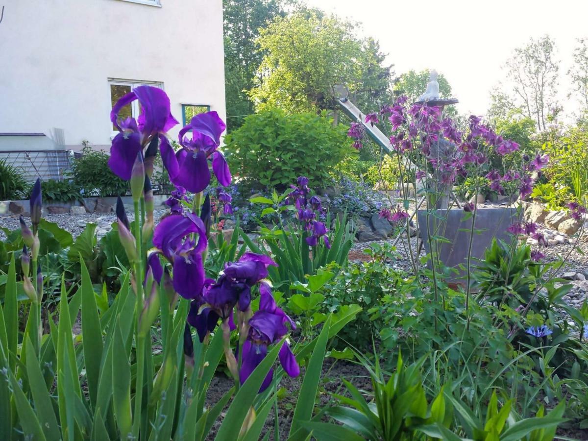 Ruhe Auf Dem Land 1 - Maria Apartment Aulendorf Bagian luar foto